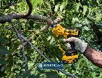 Nożyce sekator DeWalt DCMPP568P1-QW do gałęzi o śr. 38mm 18V XR 1x5,0Ah Li-Ion 4