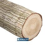 Piła tarczowa HM 450x30x4,2x2,8/20z GM20 z ogranicznik. posuwu do cięcia wzdłużnego drewna litego PS015-0450-0003 Globus 2