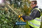 Nożyce do żywopłotu DeWalt DCM563P1-QW 55cm 18V XR 1x5,0Ah Li-Ion 4