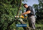 Pilarka łańcuchowa DeWalt DCMPS520P1-QW prow. 20cm 18V XR 1x5,0Ah Li-Ion Nowość 5