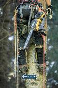 Pilarka łańcuchowa DeWalt DCMCST635X1-QW prow. 35cm 54V XR FlexVolt 1x9,0Ah Li-Ion 4