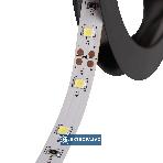 Taśma LED 12V  4,8W/500lm/1m biała zimna IP00 rolka 5m LEDS-B 24518 Kanlux 2