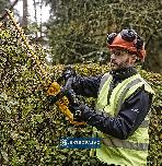 Nożyce do żywopłotu DeWalt DCMHT563N-XJ 55cm 18V XR bez akumulatora i ładowarki 3
