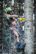 Pilarka łańcuchowa DeWalt DCMCST635X1-QW prow. 35cm 54V XR FlexVolt 1x9,0Ah Li-Ion 5