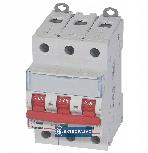 Rozłącznik izolacyjny modułowy 3P  63A FRX 303 406536 Legrand 1