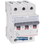 Wyłącznik nadprądowy 3P C  10A  6kA AC S 303 TX3 403543 Legrand 1