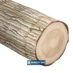 Piła taśmowa 4005x40x1,1/22z Orka Plus /HOR/ do drewna świeżego w trakach taśm. 10szt. PA310-4005-0004 Globus 5
