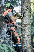Pilarka łańcuchowa DeWalt DCMCST635N-XJ prow. 35cm 54V XR FlexVolt bez akumulatora i ładowarki 4