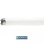 Świetlówka liniowa T8 G13 18W 1300lm biała zimna 60cm Master TL-D Super 80 18W/865 871150063177040 Philips 1